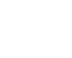 Canvas Logo
